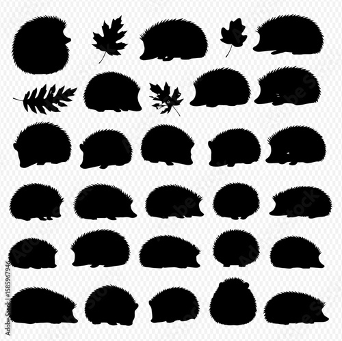 Silhouette collection of various hedgehog poses and with leaves.