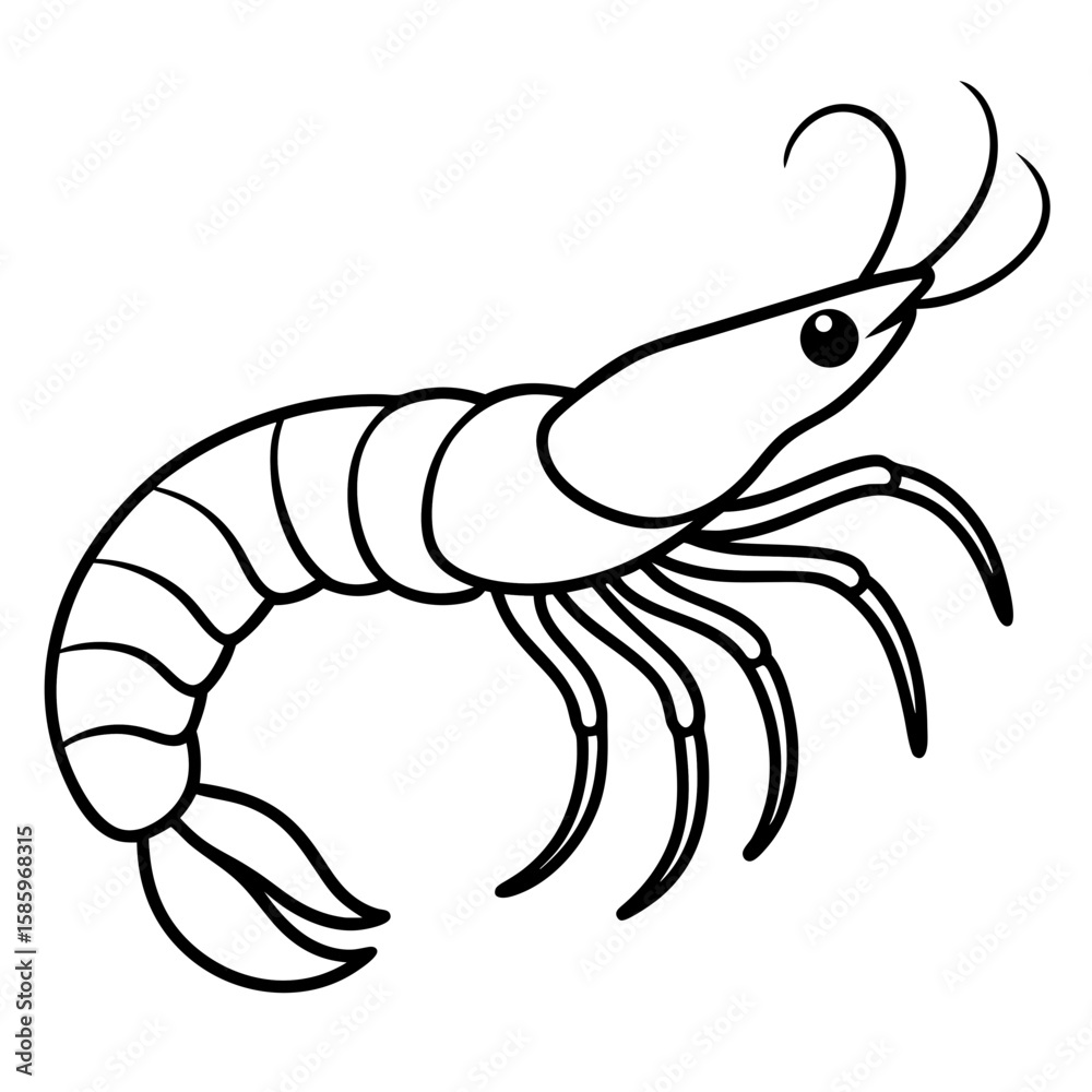 Obraz premium Simple Shrimp Drawing