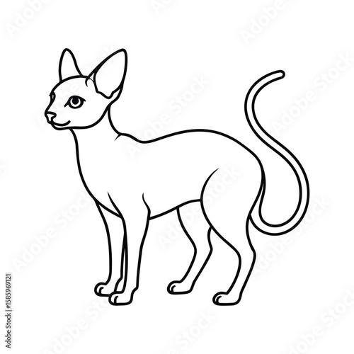 Cartoon sphynx cat line art drawing isolated on white background