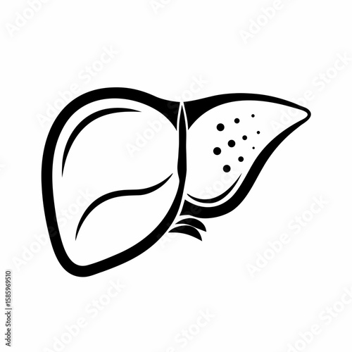 Black and white human liver illustration on white background