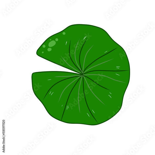 Watercolor Overlapping Lotus Leaves