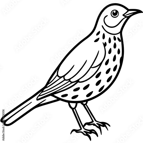 Song Thrush Outline Vector