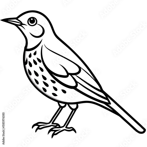 Song Thrush Outline Vector