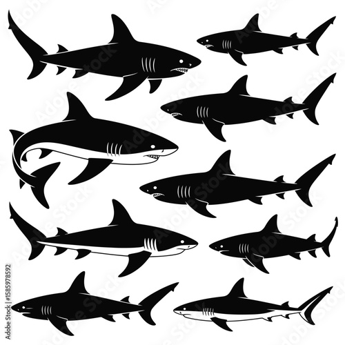 Black silhouette sharks swimming on white background
