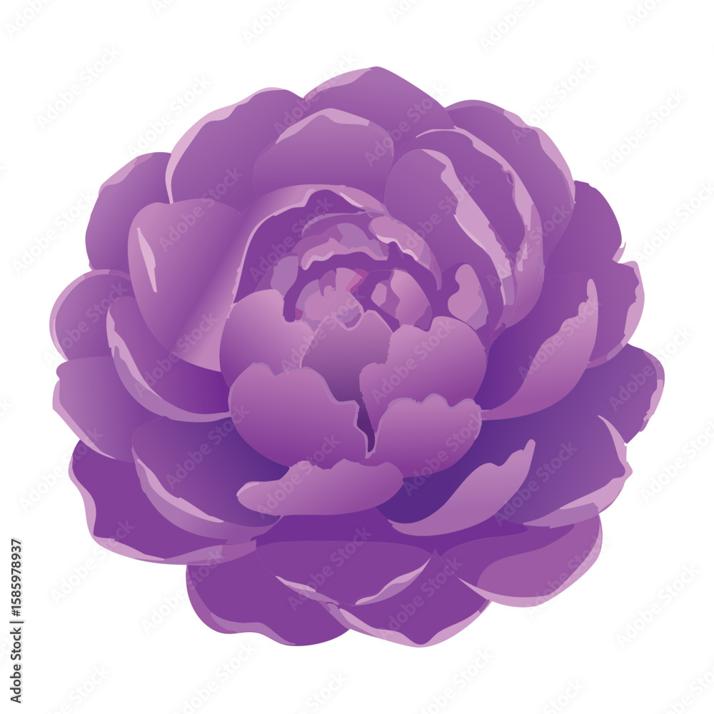 Obraz premium Lush Purple Peony Flower Vibrant Petals Artwork