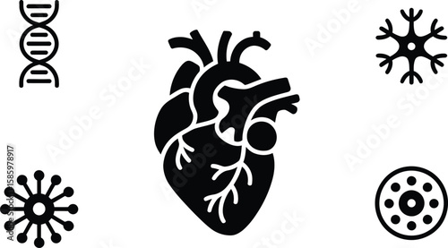 Human Heart D N A Neuron and Cell Icons anatomy biology