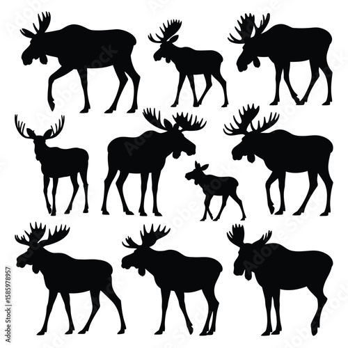 Multiple black moose silhouettes on white background