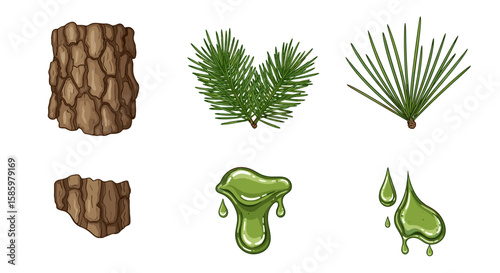 Illustration of tree bark pieces pine needles and dripping resin on a white background design element