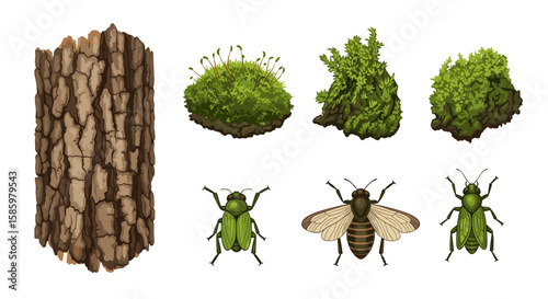 Illustration of tree bark moss clumps and various insects including beetles and a flying insect species