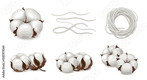 Illustration showing cotton bolls and cotton thread in different arrangements on a white background