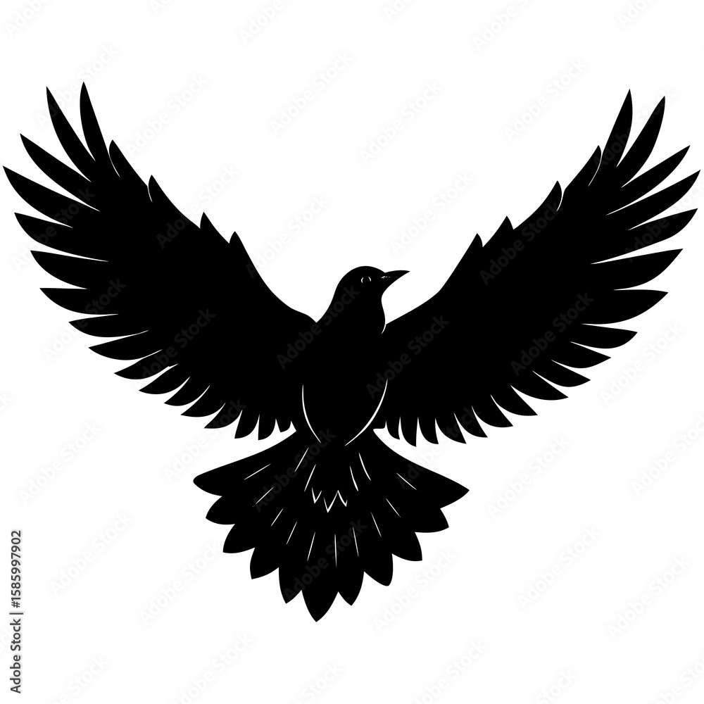 Obraz premium Black bird soaring with wings spread wide silhouette