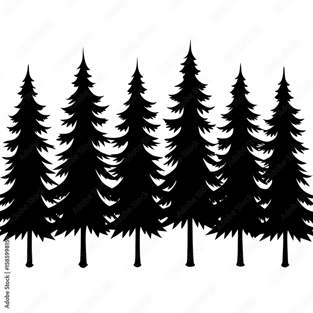 Fototapeta premium Black pine trees against white silhouette white background