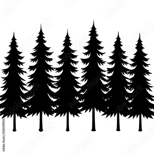 Black pine trees against white silhouette white background