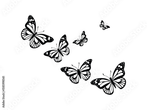 A group of black and white butterflies flying in different directions isolated on white background
