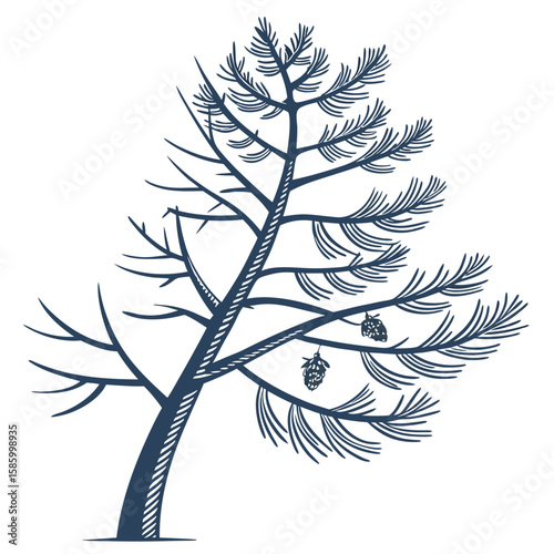 Minimalist Illustration of a Sparse Windy Pine Tree with a Few Pinecones in Black and White Line Art Style for Nature and Botanical Design