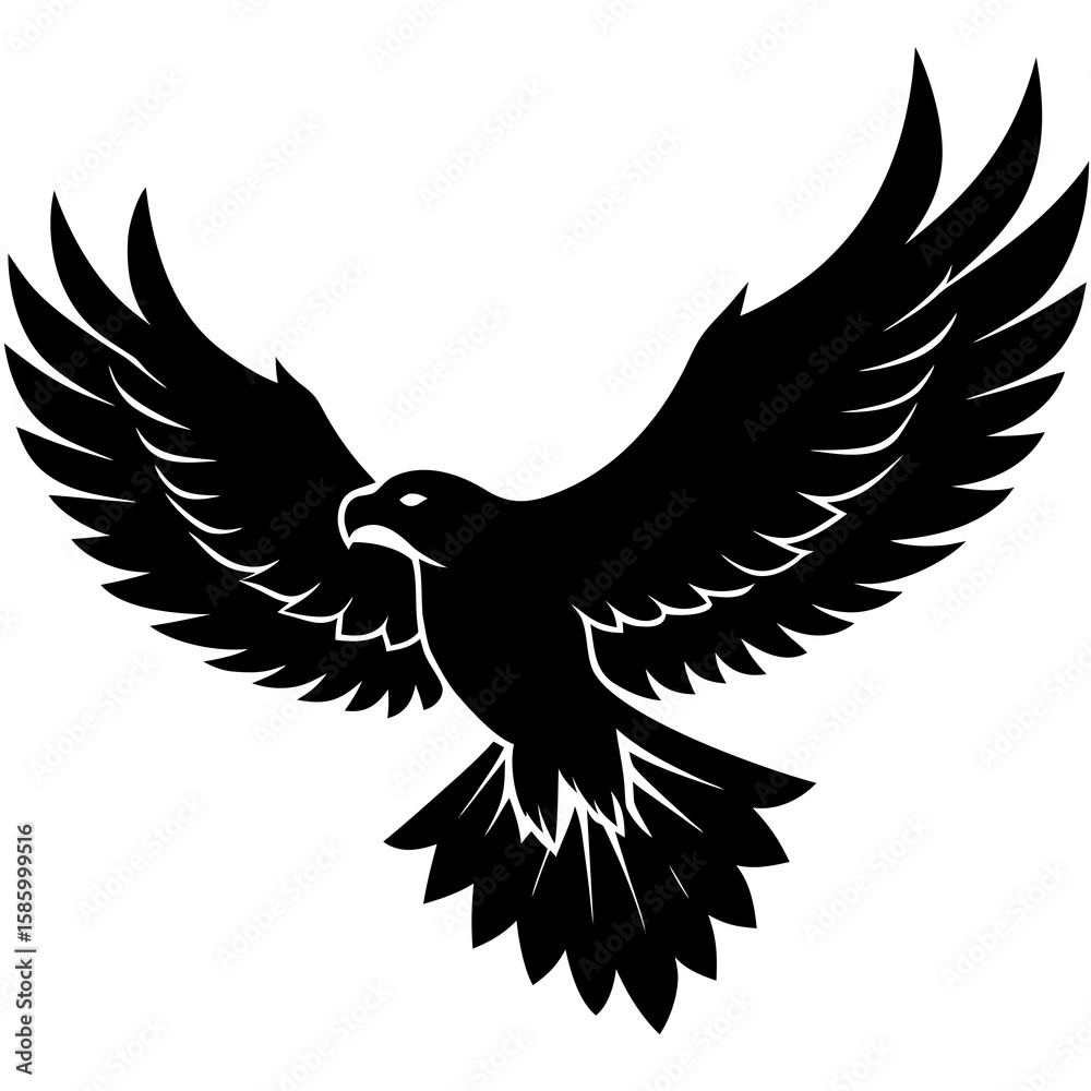 Obraz premium Majestic Eagle Flying Sharp Wing Silhouette bird wings