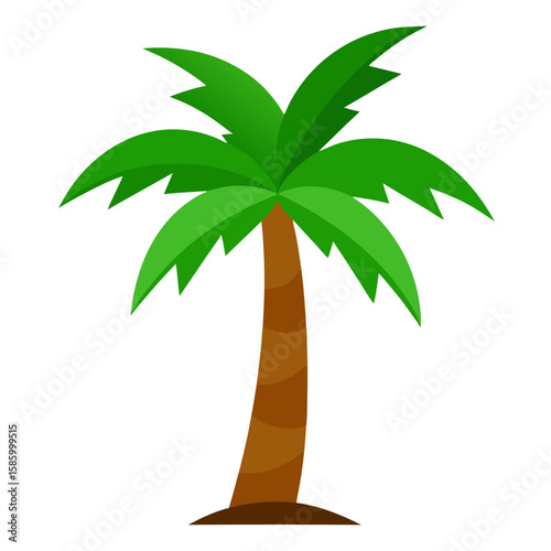 palm tree vector illustration