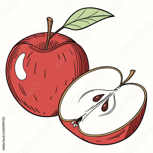 Illustration of a whole apple with a green leaf attached to its stem and a sliced apple half revealing seeds inside showcasing fresh fruit imagery