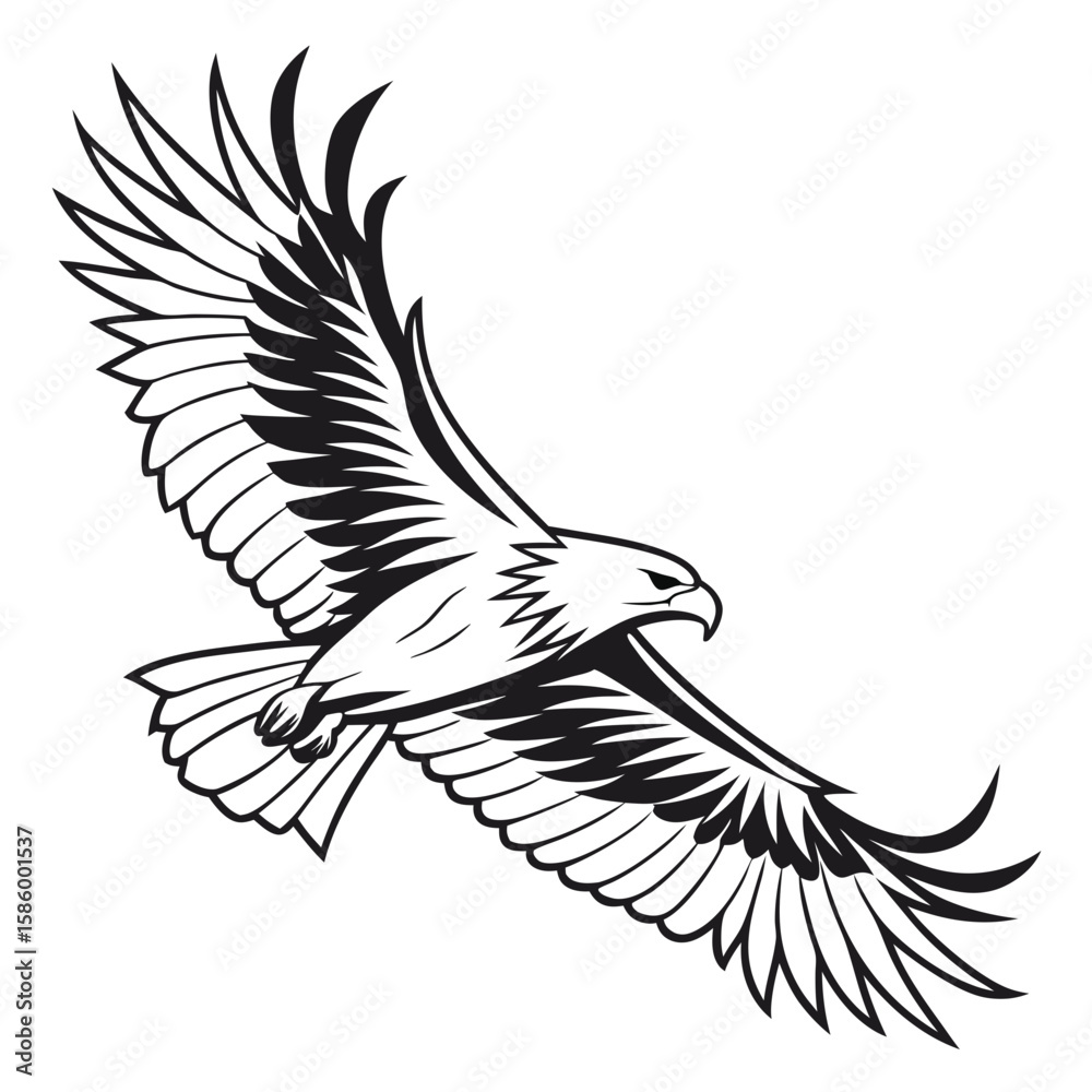 Obraz premium Dynamic black and white illustration of a soaring eagle with detailed feathering capturing the essence of wild freedom and majestic flight in a