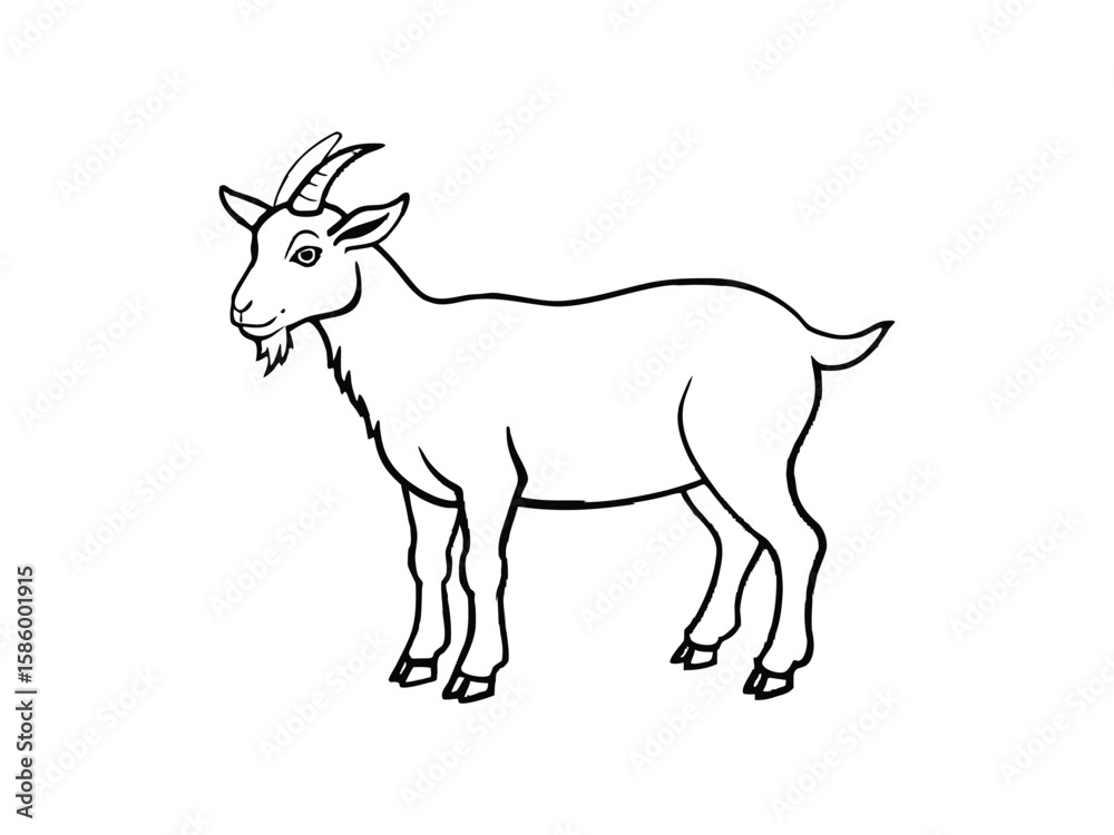 A simple black and white line drawing of a goat standing and looking to the side isolated on white background
A simple black and white line drawing of a goat standing and looking to the side isolated on white background
