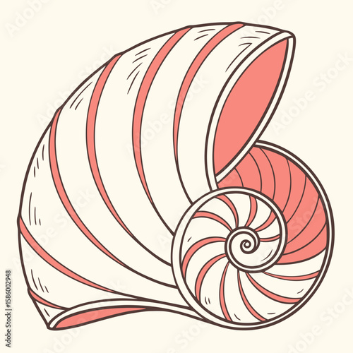 Stylized Conch Shell Illustration with Elegant Curves and Soft Color Palette for Artistic and Decorative Use