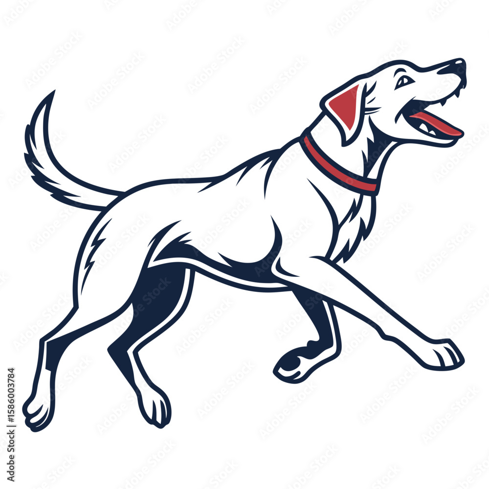 Fototapeta premium Energetic and Playful Labrador Retriever in Motion with Bright Expression and Sleek Coat Demonstrating Active Lifestyle and Friendly Nature in a