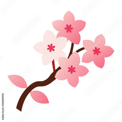 pink orchid flowers