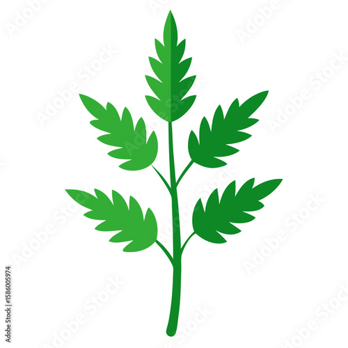 green leaf vector