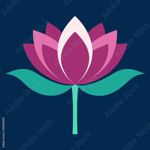 pink lotus flower
