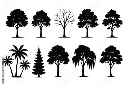 Silhouette Trees Set: An enchanting collection of diverse tree silhouettes, ideal for illustrating the varying forms of nature, providing a versatile array for a multitude of design applications.
