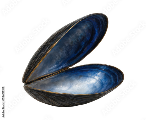 A stunning artistic sculpture of an open mussel shell with a dark, textured exterior and a brilliant blue nacre interior, Isolated on Transparent and White Background