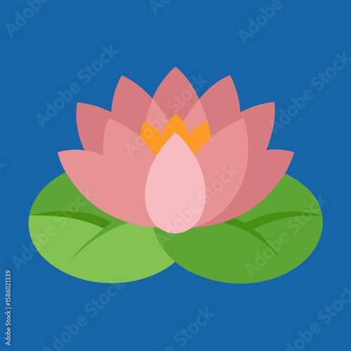 pink lotus flower
