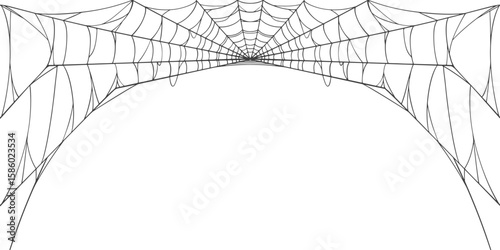 Halloween Cobweb frame border, spider web Vector Isolated on Transparent Background. Vector eps