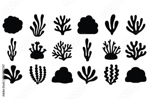 Black coral and seaweed silhouettes marine life underwater