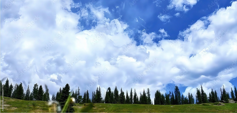 Fototapeta premium Prairie Forest Blue Sky & White Clouds Landscape, Vast Sky, Natural Scenery, Outdoor Beauty