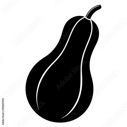 A captivating squash silhouette vector showcases the unique form of this versatile vegetable, perfect for culinary or autumnal designs and creative artistic projects.