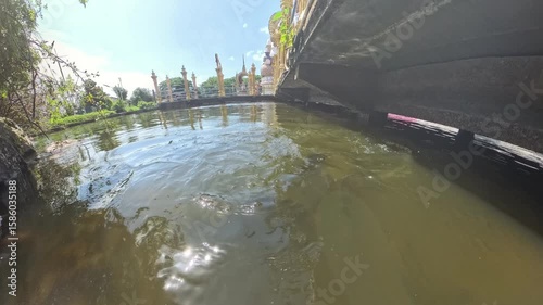 Fish Leaping Out of Water Under Bridge Splashing in Bright Sunlight Side View, Aquatic Energy Concept