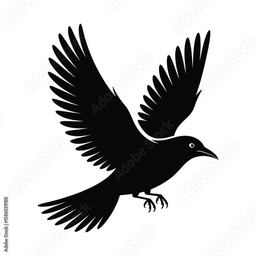 Bird in flight silhouette with detailed wide-spread wings vector isolated on white background