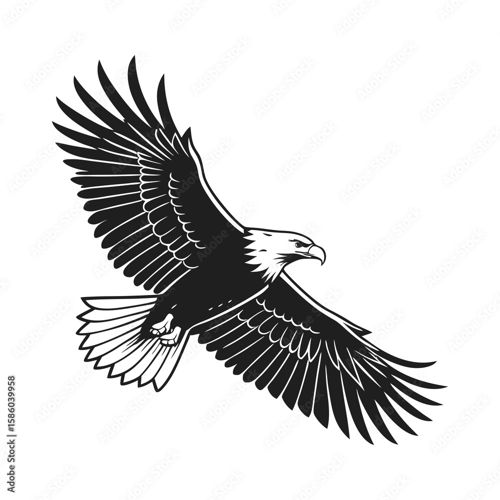Obraz premium Flying Eagle Silhouette – Majestic Black and White Bald Eagle Vector Illustration .