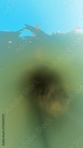 Vertical video. Small Fish Swimming Deep in Murky Green Water With Temple Roof Reflected Above Overhead Angle, Underwater Exploration Concept