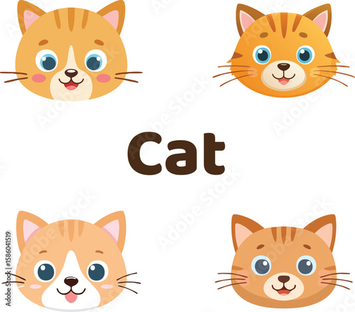 cute cat face