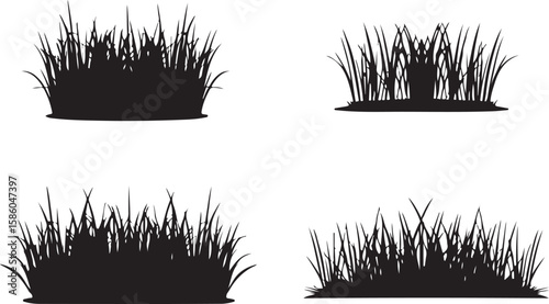 Black grass silhouettes nature plant