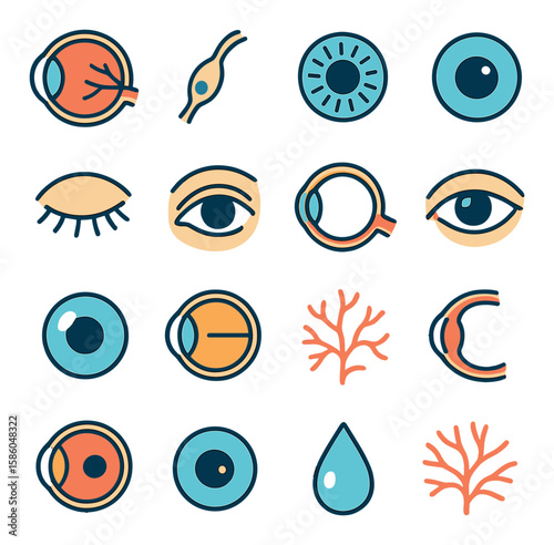 Eyeball Biology modern flat style . retina diagram, optic nerve, iris pattern, pupil dilation, sclera veins, eyelid lash, tear duct, eye socket outline, conjunctiva lines