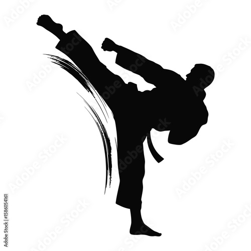 Silhouette of martial arts athlete executing a high kick with artistic brush stroke accent, isolated black and white vector