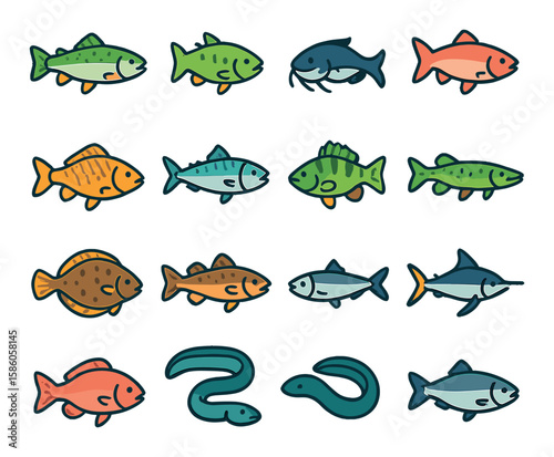 Types of Fish modern flat style. trout, bass, catfish, salmon, carp, mackerel, perch, pike, tuna, flounder, cod, sardine, marlin, snapper, eel, herring.