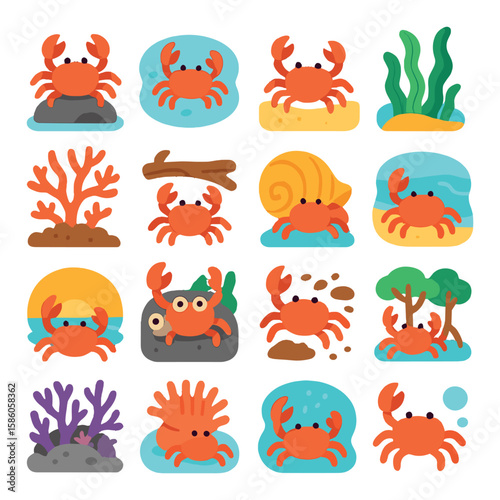 Crabs in Environment modern flat style. crab on rock, crab in tidepool, crab on sand, crab by seaweed, crab near coral, crab under driftwood, crab beside shell, crab at