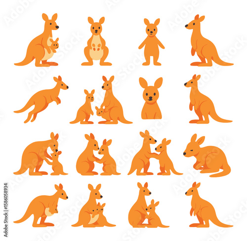 Kangaroo Family and Life Stages modern flat style. mother with joey, joey in pouch, baby kangaroo standing, twins in pouch, juvenile leaping, family group, joey peeking