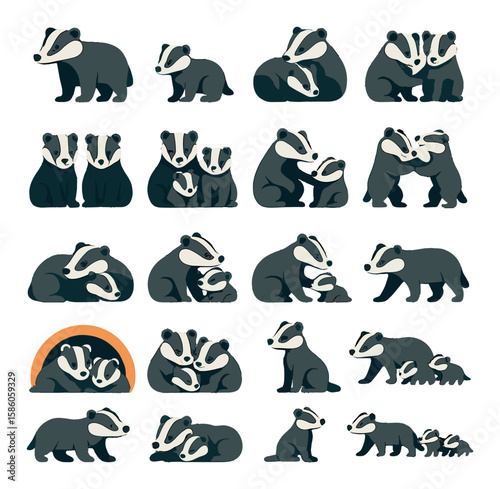 Badger Family and Social Life modern flat style. adult badger, baby badger, nursing pup, sibling duo, badger pair, family group, teaching moment, play fighting, resting