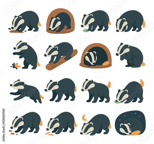 Badger Behavior and Actions modern flat style. digging motion, burrowing pose, foraging gesture, sniffing ground, defensive stance, climbing log, resting in den, grooming