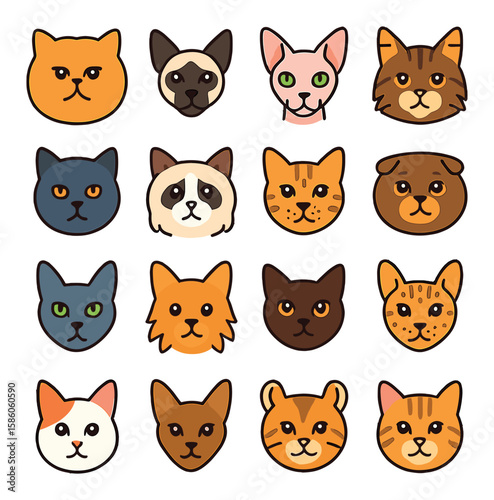 Cat Breeds and Types modern flat style. persian, siamese, sphynx, maine coon, british shorthair, ragdoll, bengal, scottish fold, russian blue, norwegian forest, burmese
